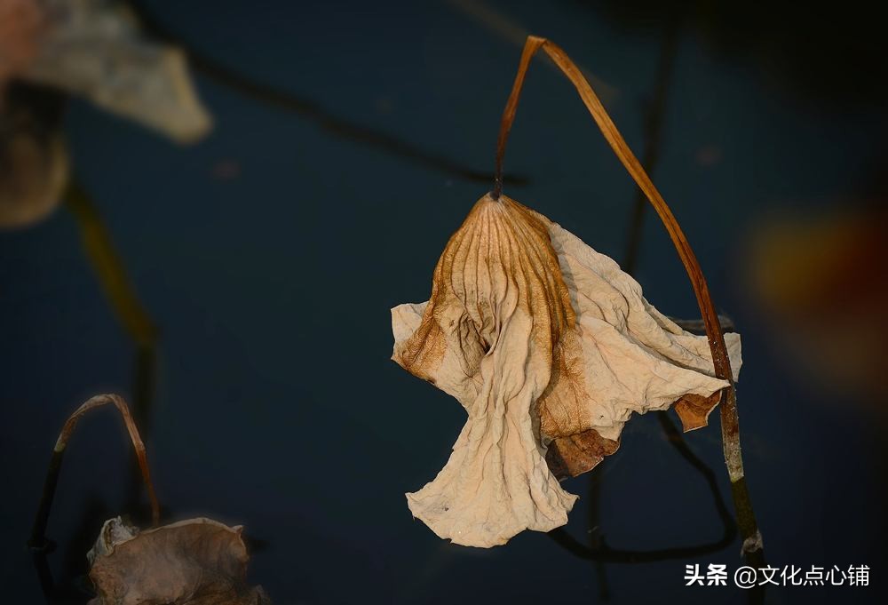 李商隐的十首经典作品,李商隐七律经典10首