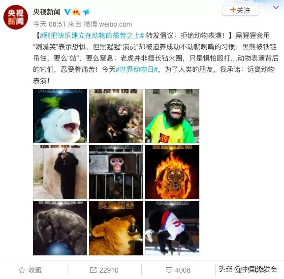 继恒大之后，新城控股成为黑榜之首！房地产何时能放过野生动物？