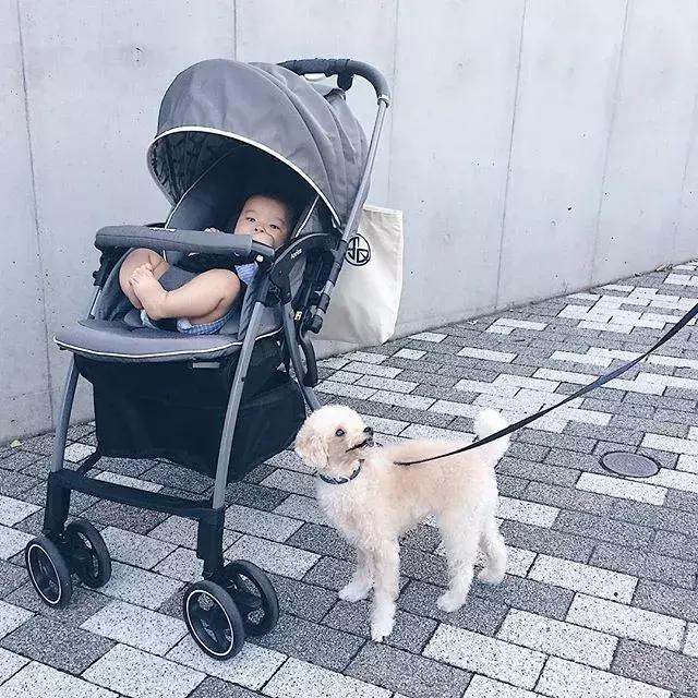 日本有什么好用的婴幼儿产品,宝妈千万不要买的东西