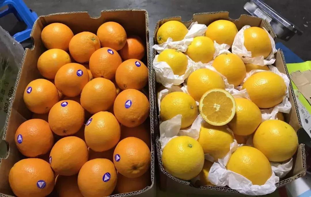 进口的水果有哪些,进口水果价格高的解决办法