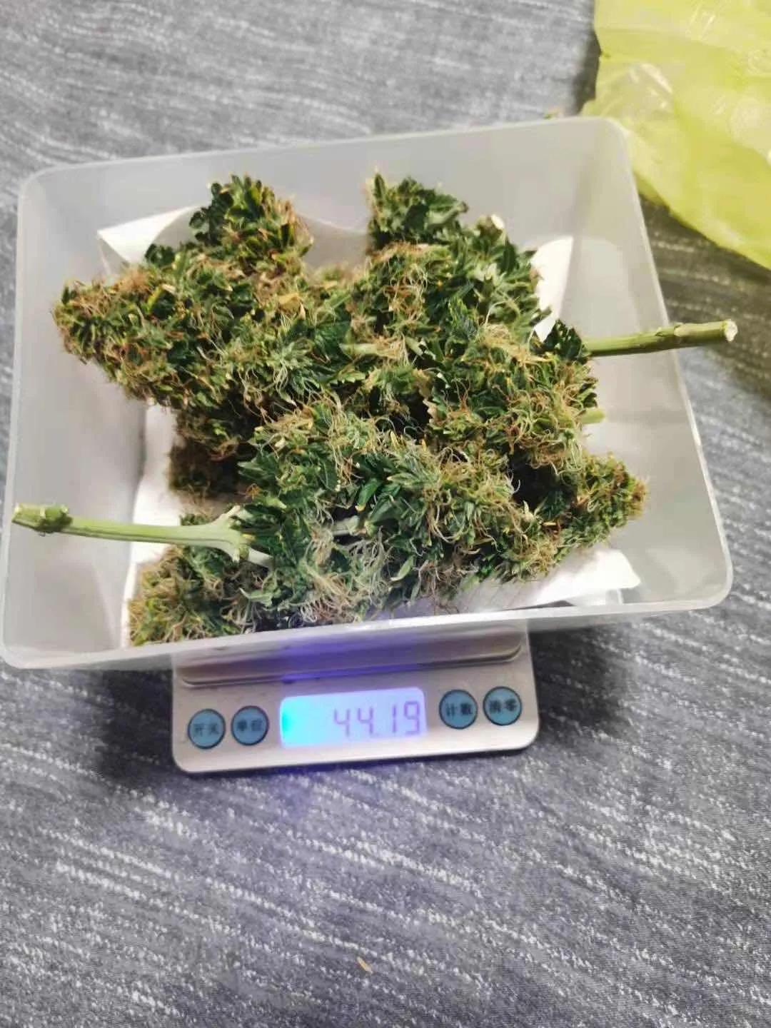 现实版“绝命毒师”！外表憨厚的90后数学老师竟是“毒王”