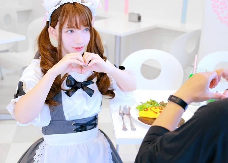 萌？治愈？宅男天堂？快来看看日本的女仆咖啡厅都提供哪些服务