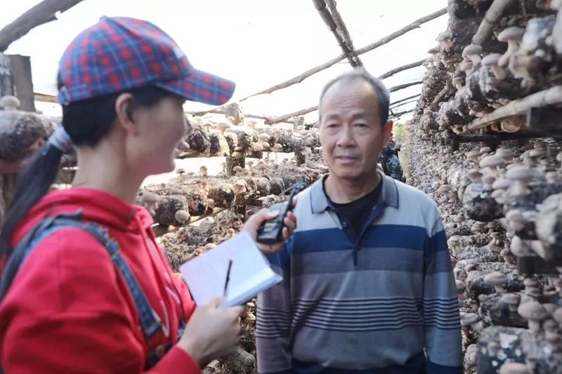 通讯员表彰大会发言稿,优秀通讯员表彰总结讲话