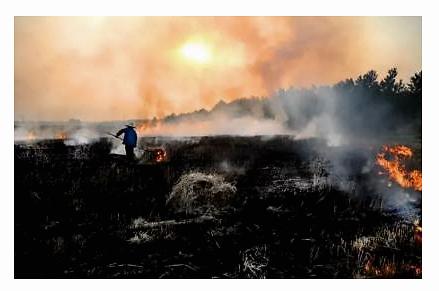 新型环保材料数据,环保新型材料网