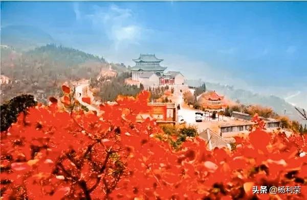 春风杨柳沐轻烟七律,七律杨柳风的诗句