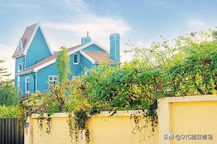 恋恋青岛，春深似海