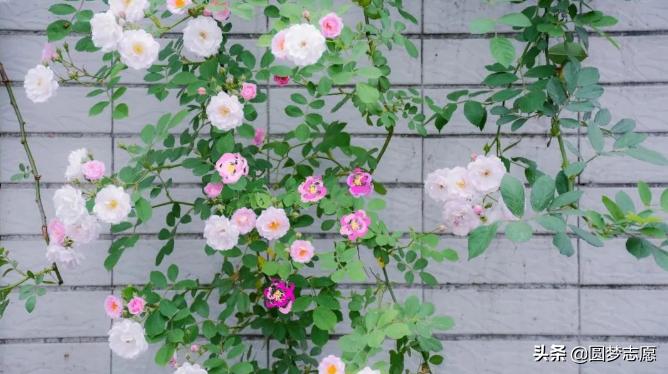 南京理工大学毕业年薪多少,南京理工大学有钱吗