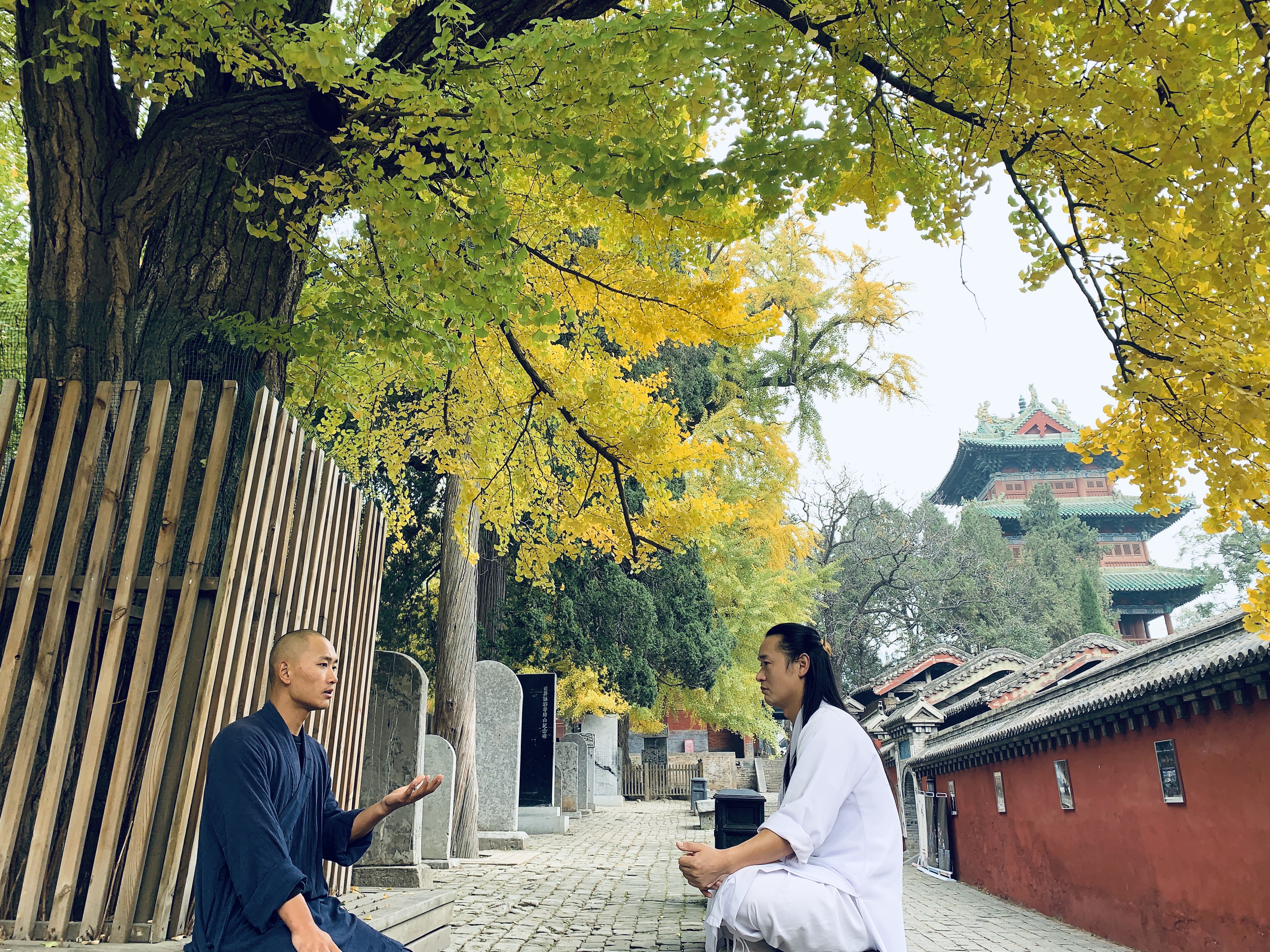 走进少林那扇无形的大门,少林一叶一菩提