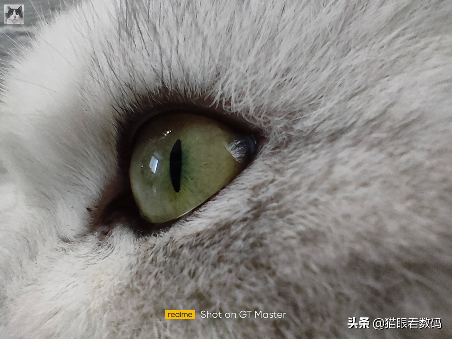 realme真我gt大师版屏幕总成,realme真我gt大师探索版配置参数