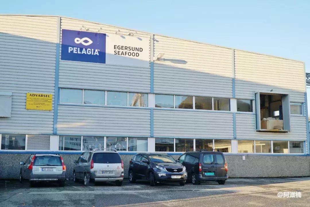 为了吃世界上最好吃的青花鱼，我飞去了挪威，光是捕捞船价值4亿