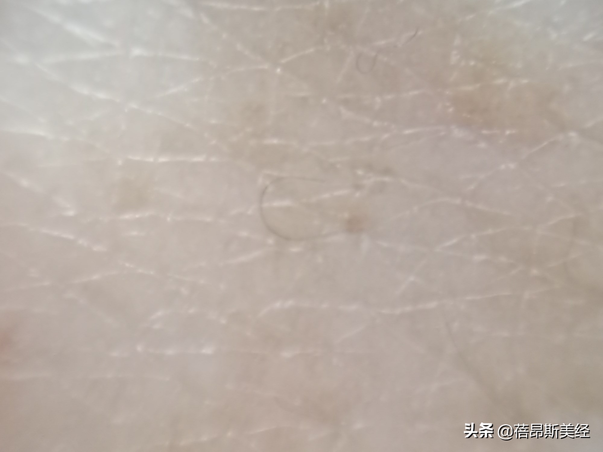 神仙水推荐韩国,补水保湿神仙水哪个好用