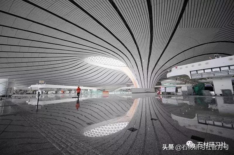 金凤凰机场,北京大兴国际机场凤凰展翅航站楼