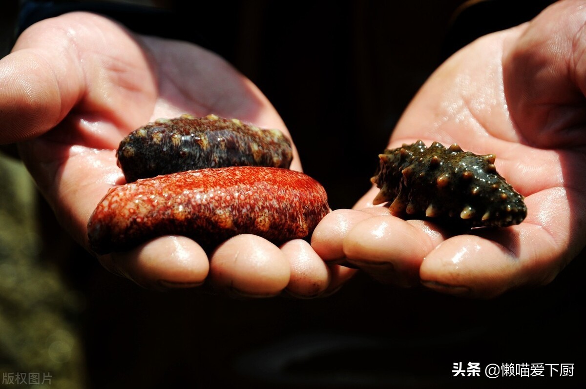 网上买的海参怎么辨别真假,鉴别海参是否掺伪