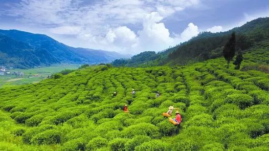 你心中的大山是什么,你心中的十堰是什么样的