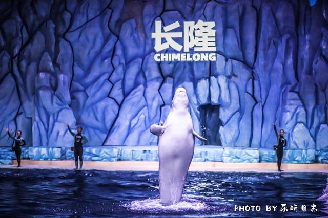 来珠海亲子必打卡景点，人工飘雪海洋动物表演，最适合周末亲子游
