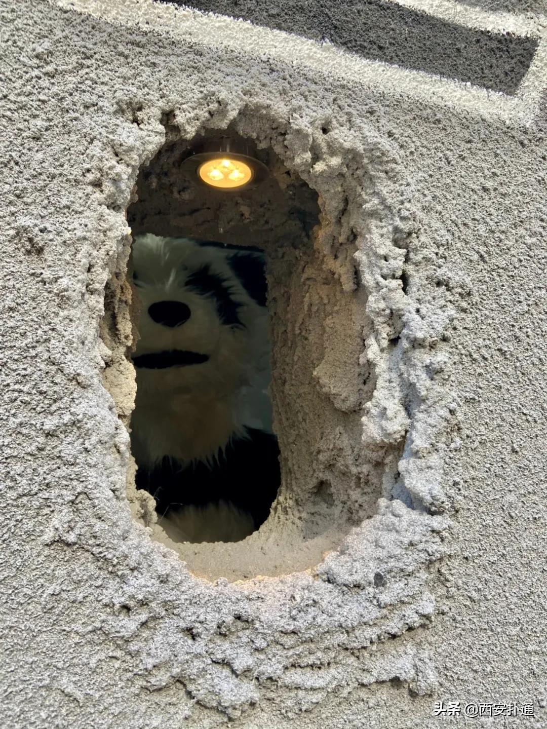 仅凭一个洞就爆火全网，这家熊爪咖啡西安也有了