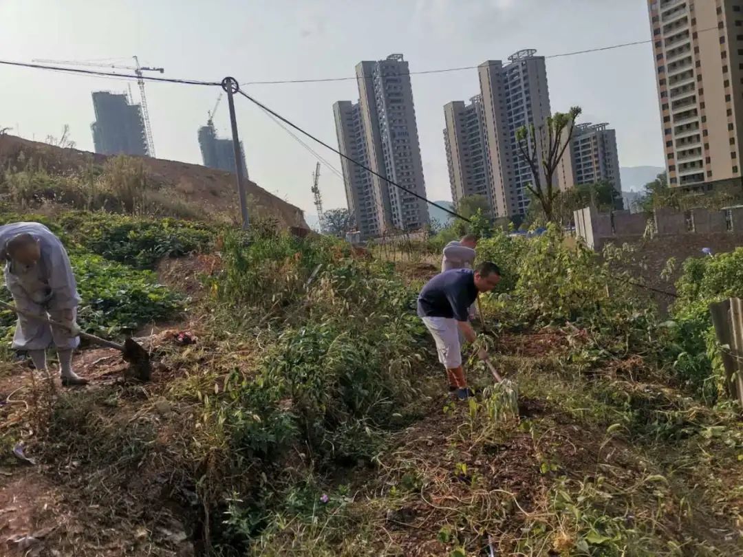 抢抓农时开展农业生产,农民纷纷抢抓春耕生产有利时机