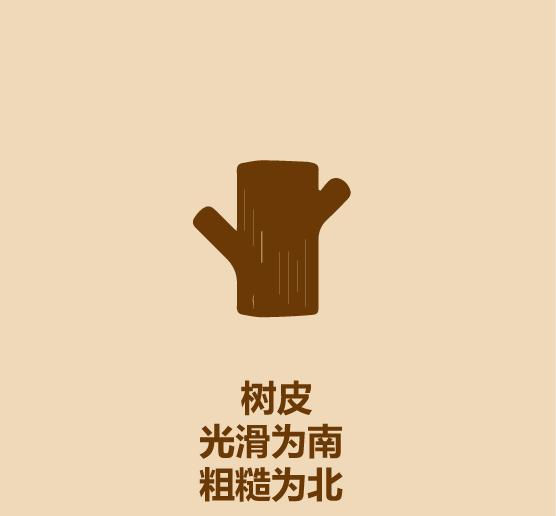 户外探险怎么看方向,户外冒险怎么辨别方向