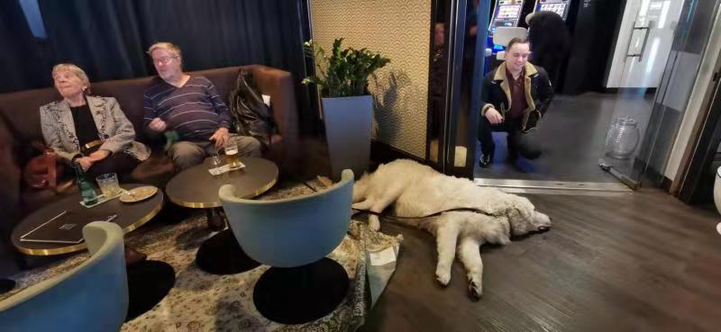 Day32：赫尔辛基→斯德哥尔摩波罗的海邮轮之上