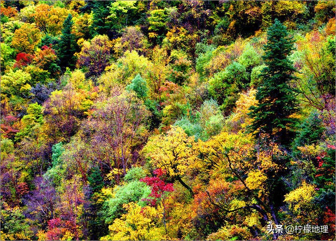 梭磨河峡谷在四川什么地方,梭磨河峡谷