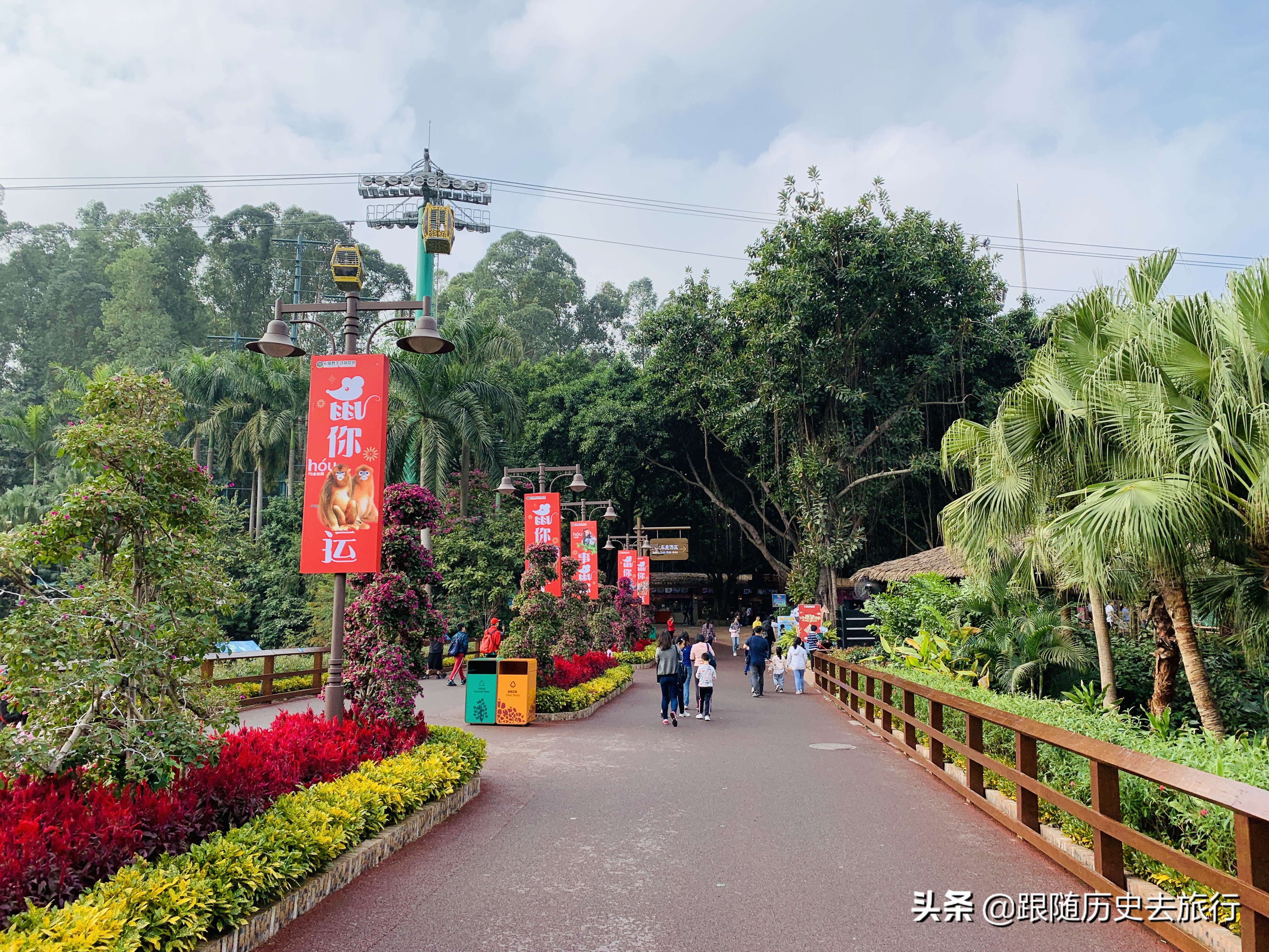 广州长隆水动物世界看大熊猫攻略,广州长隆动物园里的熊猫萌萌