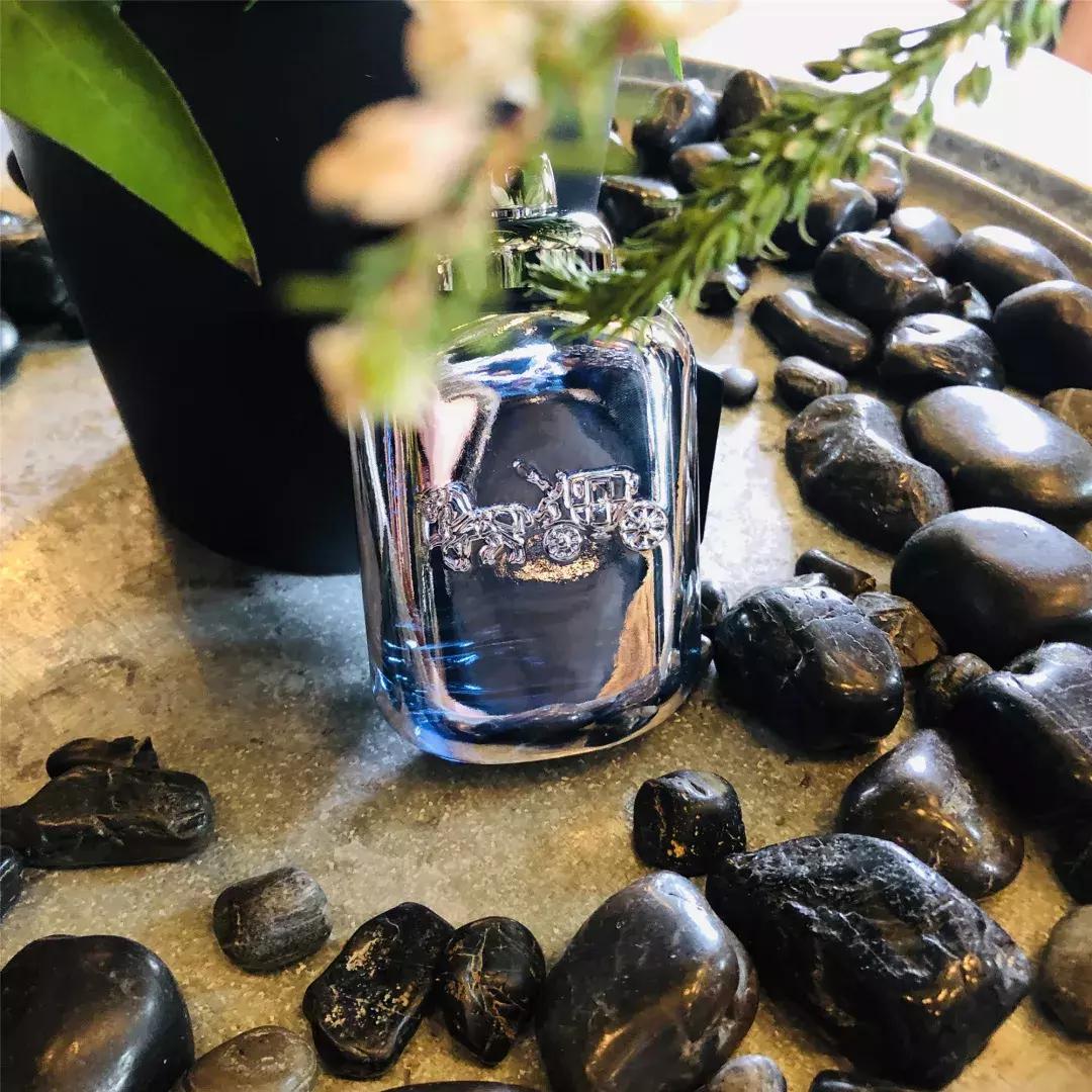 与自然来一场寻香之旅,追寻香气感知香奈儿的五感之旅