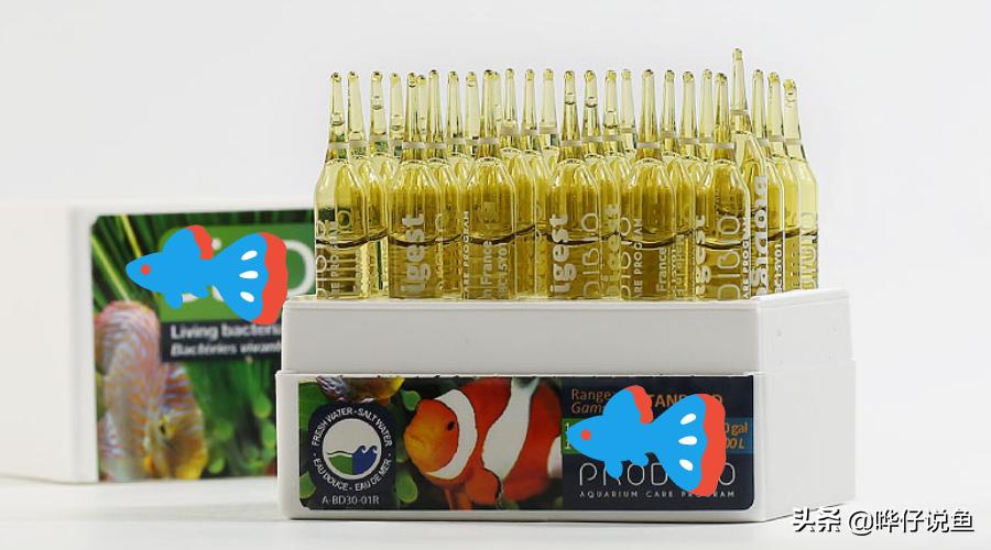 鱼缸里有鱼如何快速培养硝化细菌,如何快速培养鱼缸硝化细菌