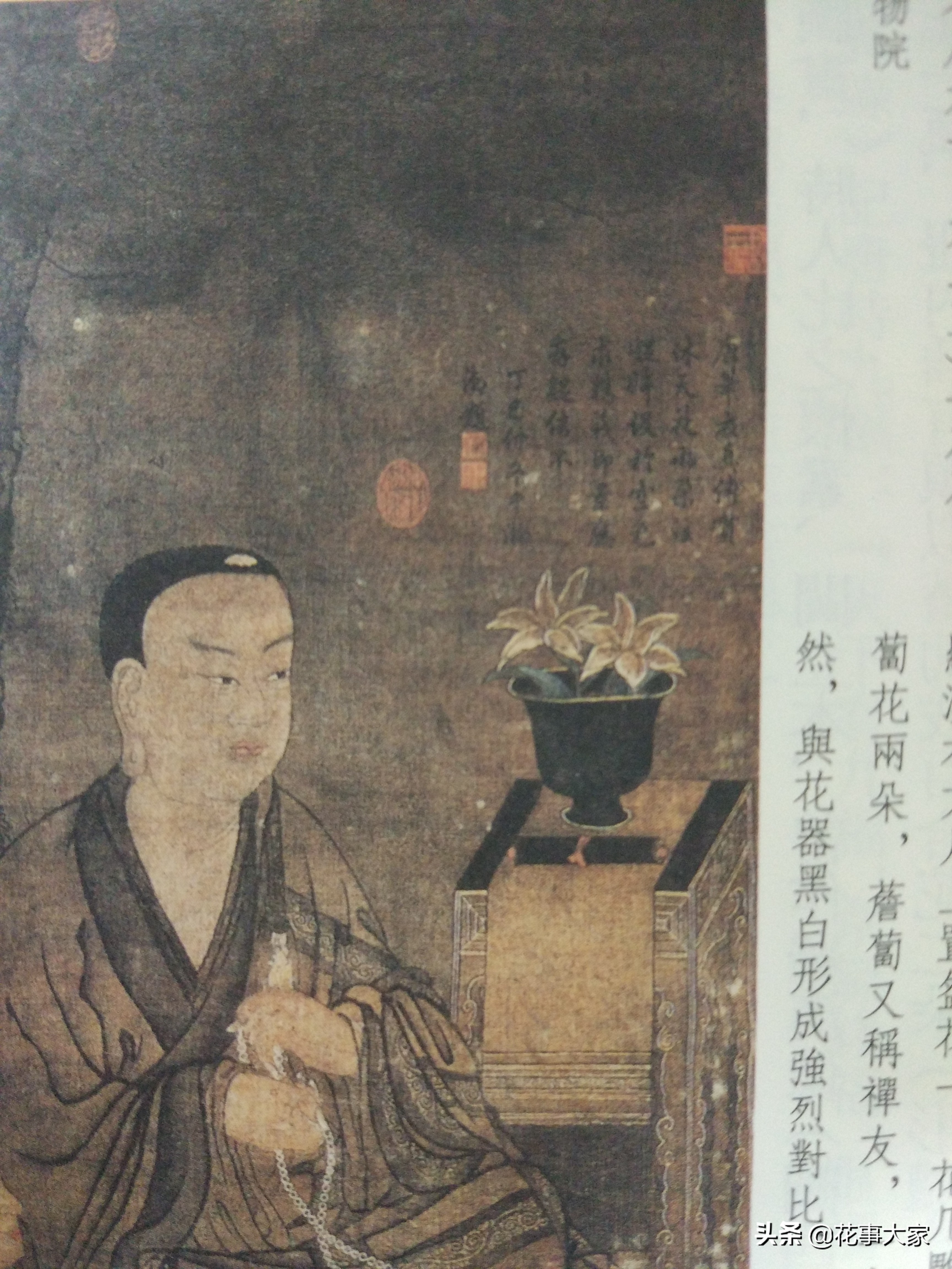 插花生活美学文学文人植物花艺雅道