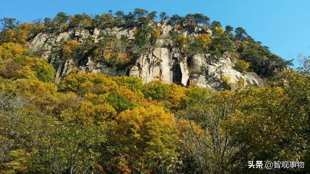 辽宁游记畅游金石滩国家地质公园,抚顺猴石森林公园自驾游攻略
