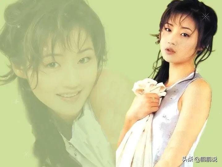 马小玲甄子丹离婚原因,龙虎门甄子丹马小玲