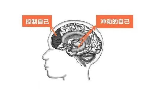 控制不了自己的消费欲望，怎么办