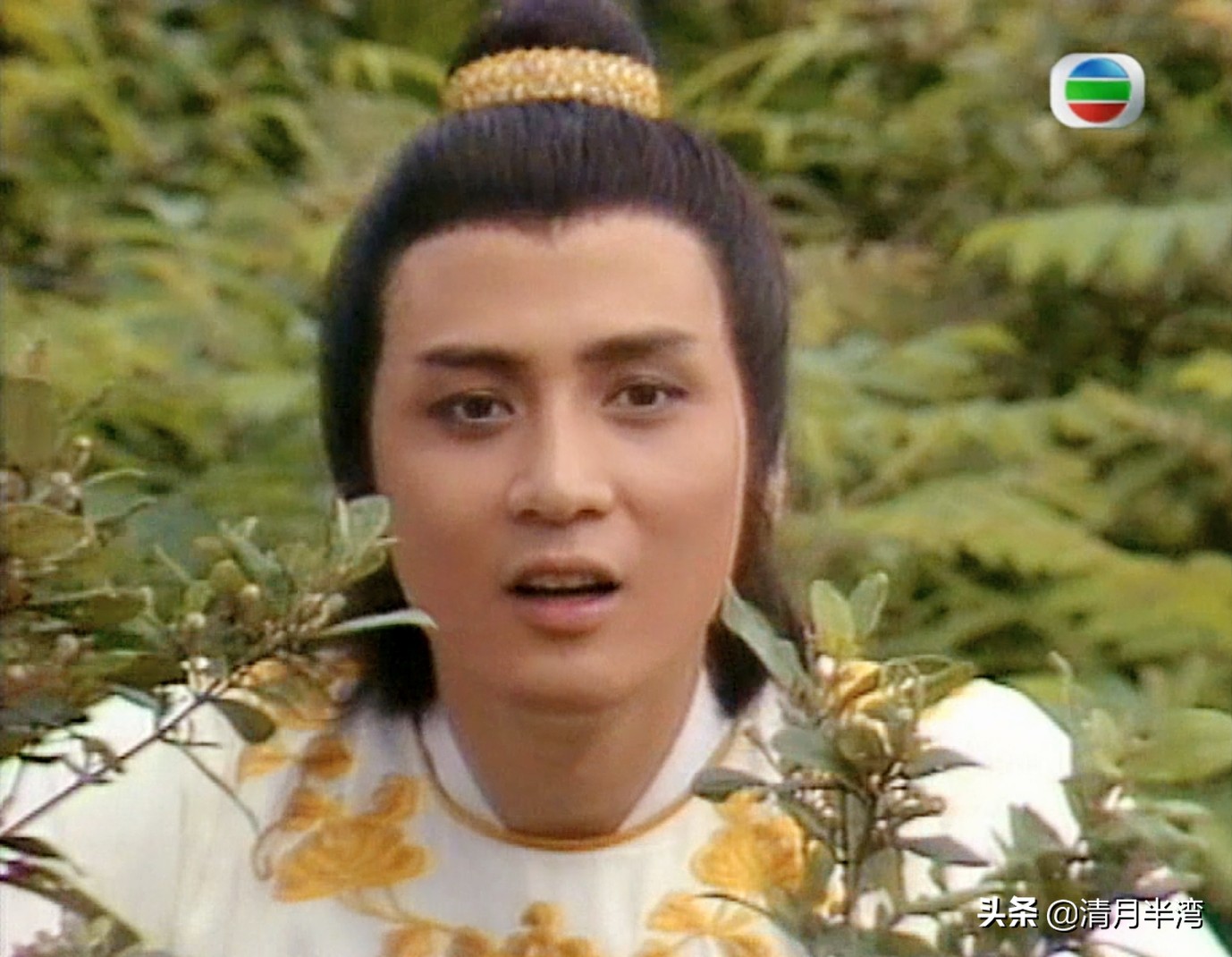 香港古装剧最帅男主角,港台剧十大最帅古装角色