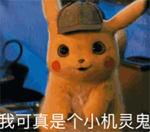 让上海人纠结的生活垃圾分类,为什么上海最近流行垃圾分类