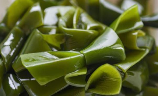 裙带菜和海带的区别知乎,裙带菜和海带有什么区别呢