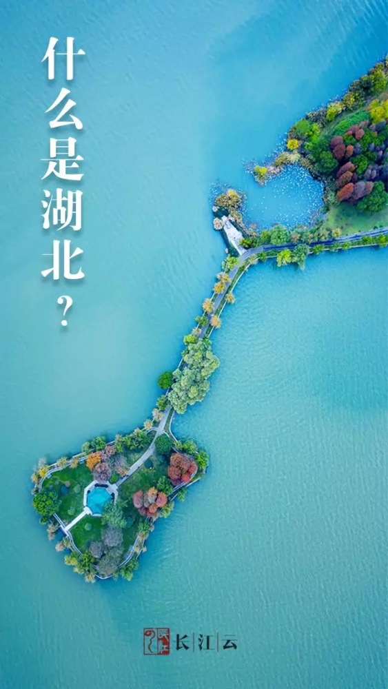 军运会赛事,最新军运会开幕式全程回放