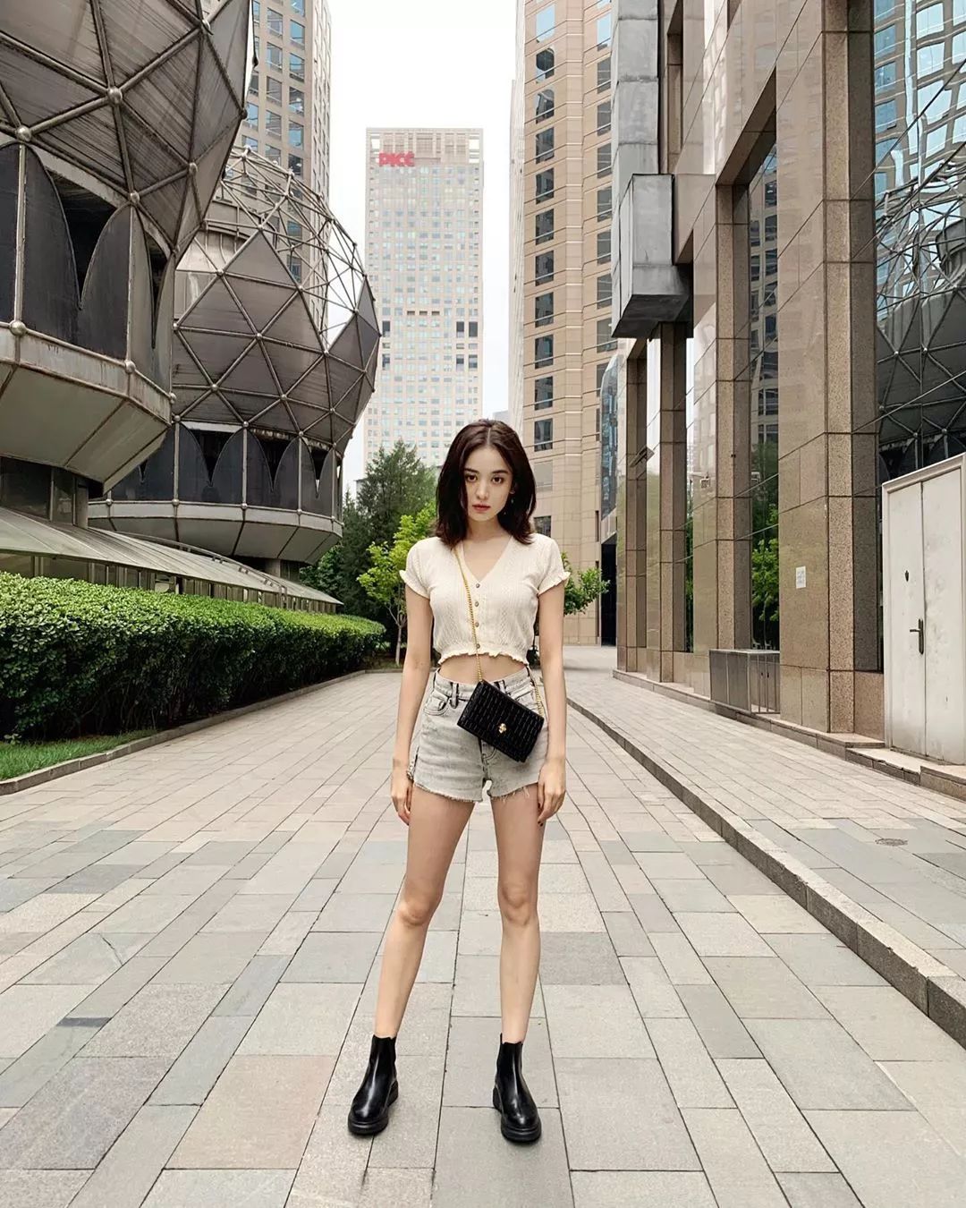 娱乐圈的小花有哪些,娱乐圈里的小花