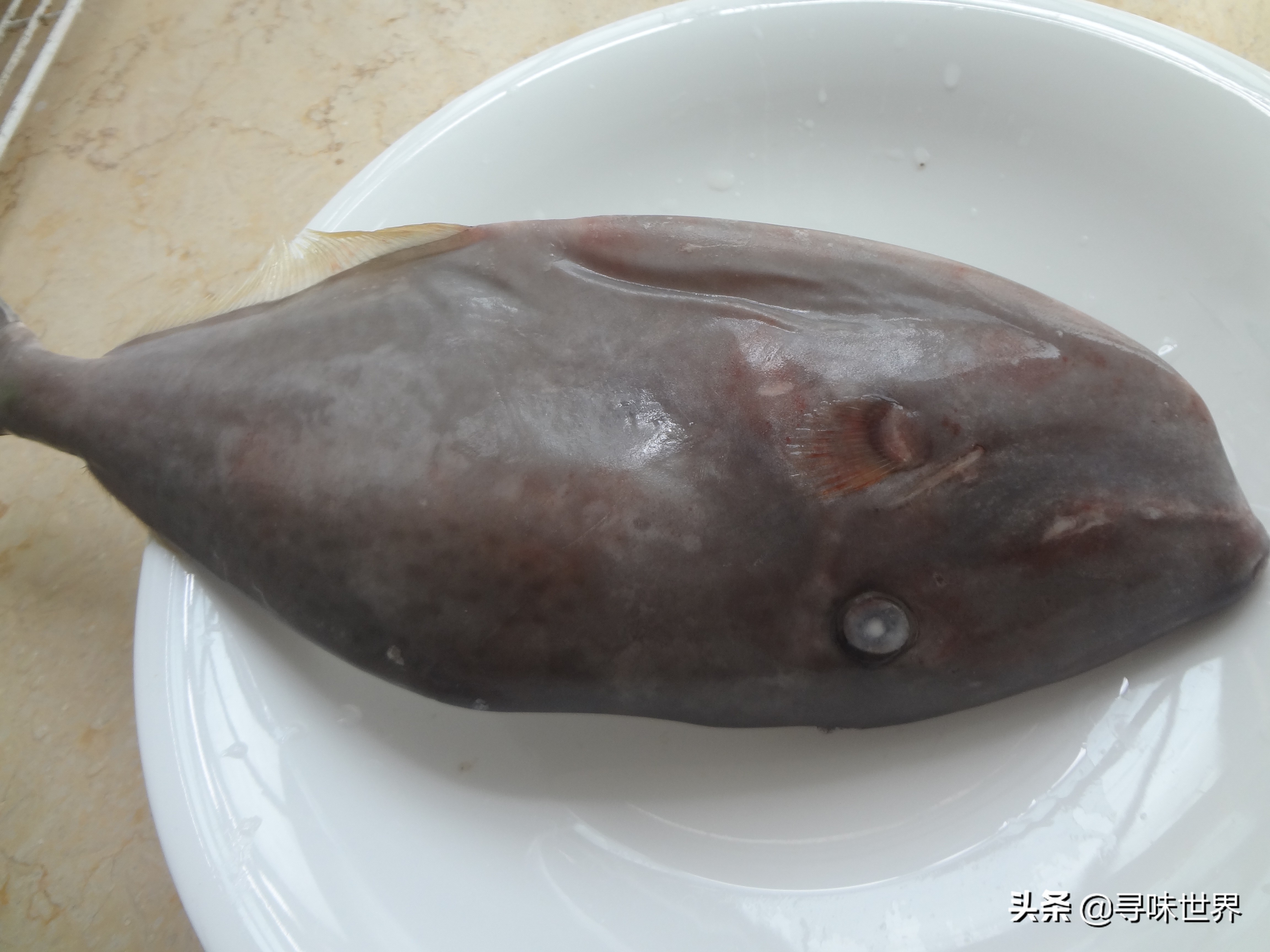 海鱼有哪些人工养殖不了的,不能人工养殖的海鱼市场上有哪些