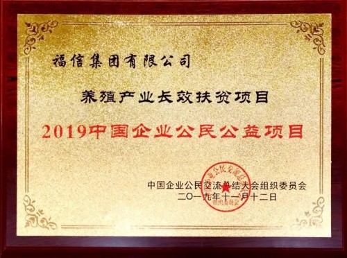 福信集团是什么单位,福信集团是哪里人