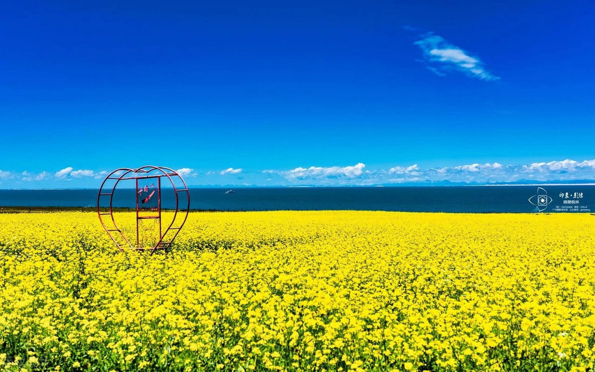 成都出发青甘大环线最佳路线图,青甘大环线成都出发游详细路线图