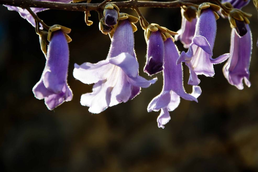 潍坊一中绝美照片,一中美丽景色