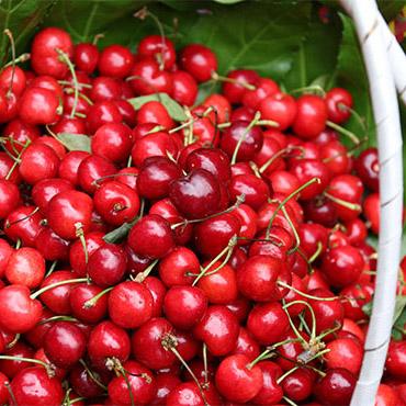 樱桃好吃减脂做法,樱桃最漂亮的吃法