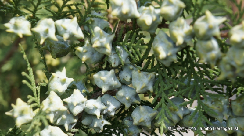 第4082回：法国舰队灭顶之灾，炸沉东方号战列舰