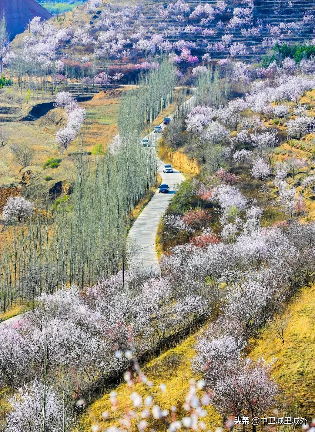 宁夏最穷人口最少的市,宁夏最富的县vs宁夏最穷的县