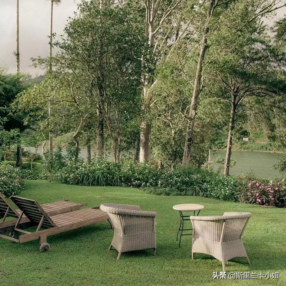 鏂噷鍏板崱缃楄幈澶忔湹,缃楄幈澶忔湹闇嶉】鑻卞紡鑼跺洯