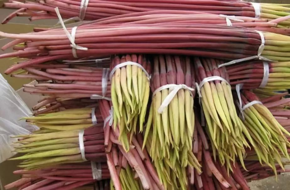 在云南，做一个“花吃”，挺好