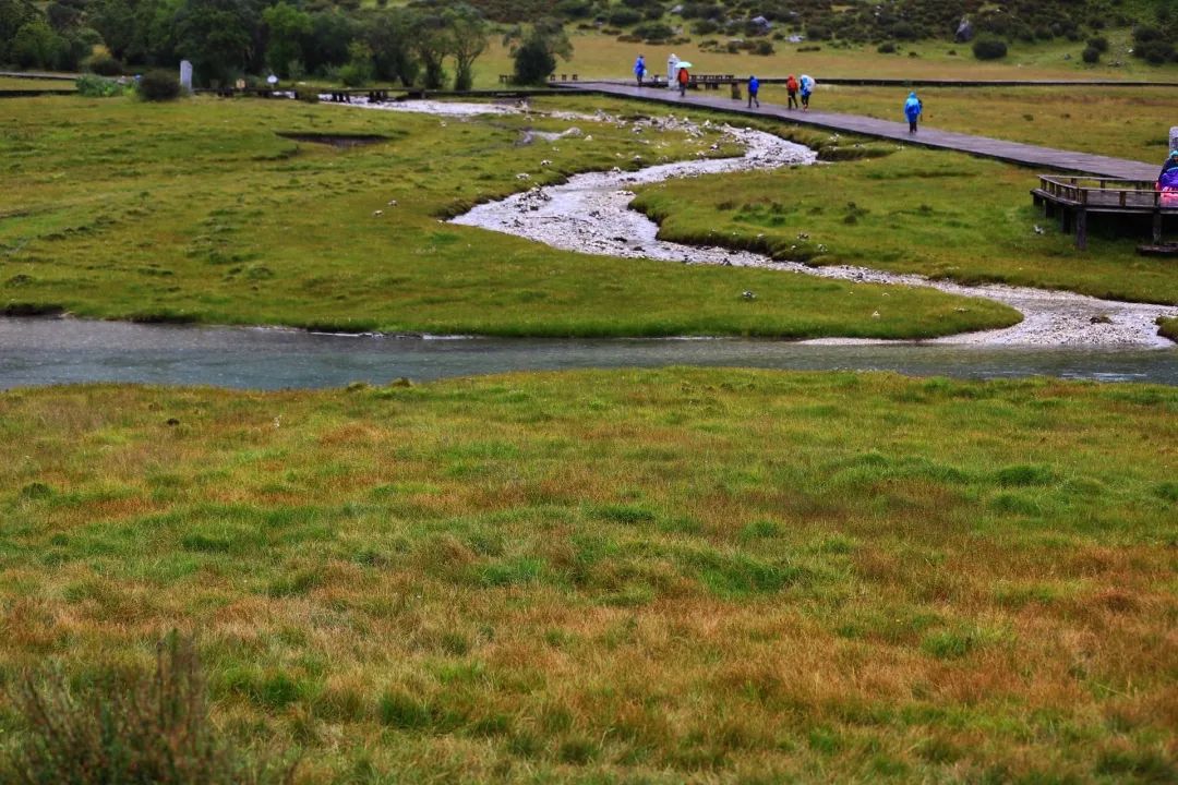 稻城亚丁这里有你想要的诗和远方,在稻城亚丁视频