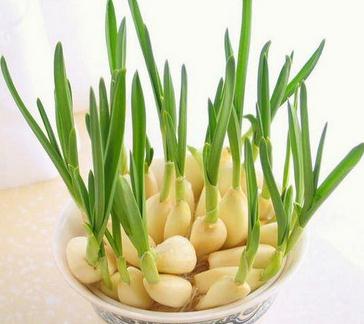 忆清明祖辈给我们留下了什么?