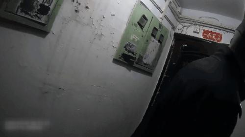 公安部关于民警制止违法犯罪行为,依法惩治袭警违法犯罪行为的意见