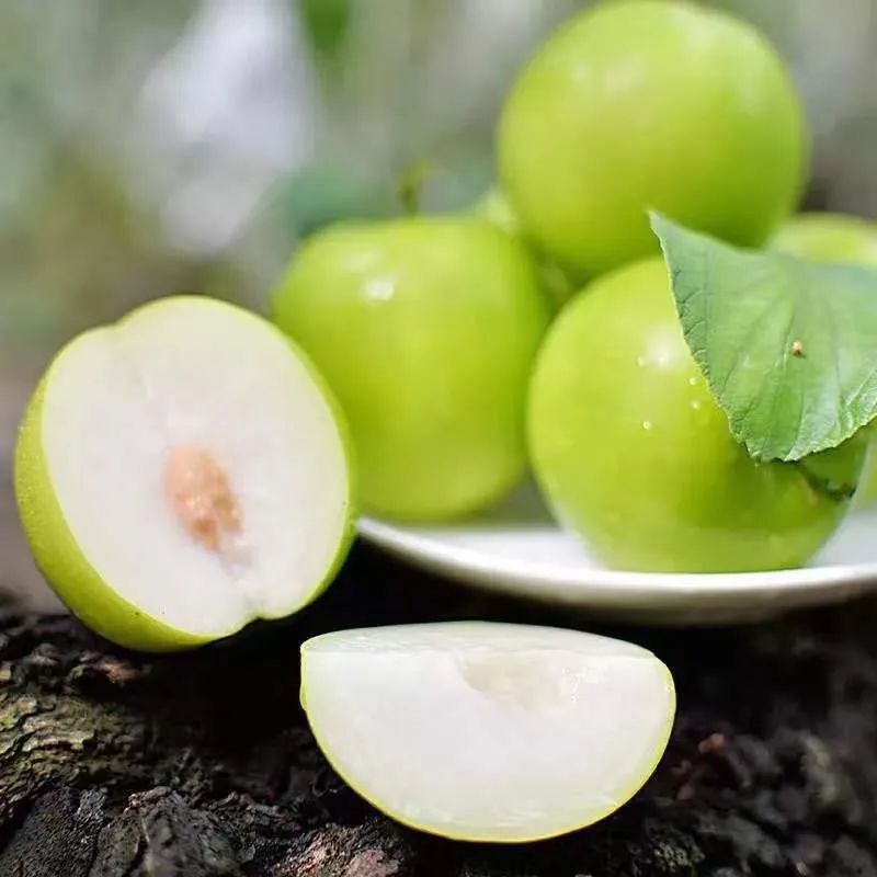 台湾牛奶枣最新品种,台湾特大牛奶枣