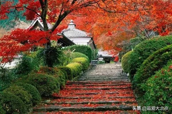 香山周末好去处,香山夏天去好玩吗